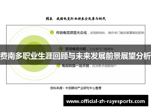 费南多职业生涯回顾与未来发展前景展望分析 费南多职业生涯回顾与未来发展前景展望分析